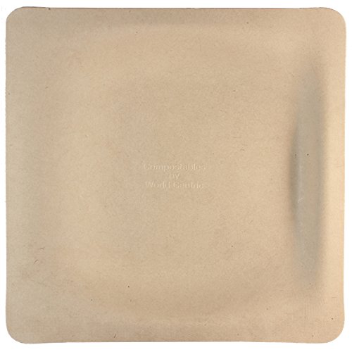 World Centric SQ-SC-10 Fiber Square Plate, 10