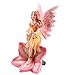 Set of 4 Flower Fairies Garden or Home Ornament Enchanted Fairy Figures