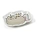 Enesco Pusheen by Our Name is Mud 