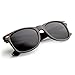 zeroUV Classic Eyewear 80's Retro Large Horn Rimmed Style Sunglasses (Tortoise/Smoke)