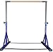 Z Athletic Gymnastics Expandable Junior Training Bar (Purple)