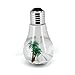 SCS ETC USB Powered Color Changing Cool Mist Bulb Humidifier-400mL Capacity-Super Quiet Operation-7 Color Nightlight