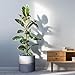 10'' Plant Pot by HOMENOTE, Large Planter with Drainage Plug -White Planter Pot for Indoor Plants - Perfect Fits Mid Century Plant Stand (10 inch, Gold and Grey)