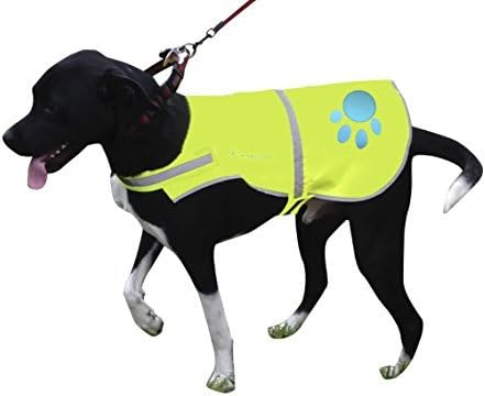 Reflective Dog Vest Large with Adjustable Strap and Florescent Reflectors. Safety Vest for Dogs and Dog Raincoat for Walks in Rain or Snow - Reflects Car Lights for Safety. Also Used As Hunting Vest for Dogs. Lightweight and Comfortable.