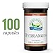 Nature's Sunshine Hydrangea, 100 Capsules | 650mg of Pure Hydrangea Root Supports The Urinary System and Kidneys with its Natural Solvent Qualities
