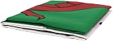SHATCHI Welsh Flag 3x2 ft Wales Dragon Cymru Polyester Flag with Brass Eyelets view 2