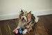 Midlee Happy Birthday Dog Tennis Balls (12 Pack) (Small, Blue)