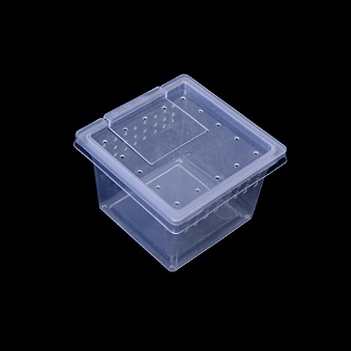Qupida Transport Plastic Breeding Live Food Feeding Box For Insect Reptile Amphibian (H1)