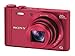 Sony DSC-WX300/R 18 MP Digital Camera with 20x Optical Image Stabilized Zoom and 3-Inch LCD (Red)