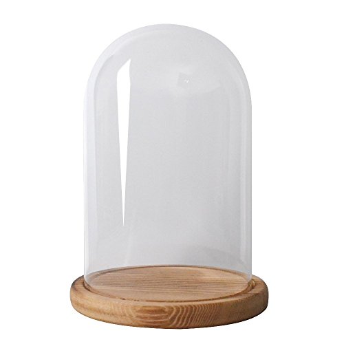 Reelva Decorative Clear Glass Cloche Bell Jar Display Case (D12.5cmH20cm)