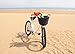 Colorbasket 01327 Adult Front Handlebar Bike Basket, All-Weather, Water Resistant, Adjustable Leather Straps, Black