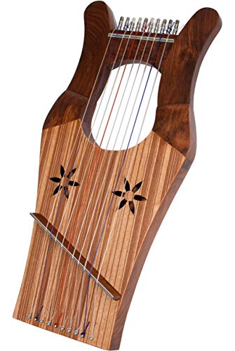 King David's Package Includes: Mini Kinnor Harp King Davids W/Gig Bag â€“ Dark + Kinnor Harp Replacement String Set + Snark Clip-On Chromatic Tuner