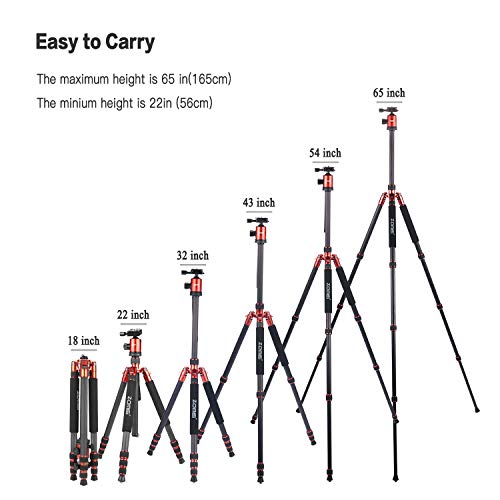 ZoMei Carbon Fiber Tripod,Camera Tripod for dslr,66.5" Camera Tripod Monopod with 360 Degree Ball Head,Load up to 33 pounds (orange)