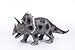 World Animals 24