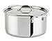 All-Clad 4508 Stainless Steel Tri-Ply Bonded Dishwasher Safe Stockpot with Lid/Cookware, Silver primary