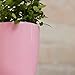 Santino Flower Pot Orchidea 5.5 Inch White Indoor Outdoor Plastic Planter