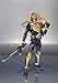 TAMASHII NATIONS Bandai S.H.Figuarts Kamen Rider Gaim Orange Arms -20 Kamen Rider Kicks Ver.-