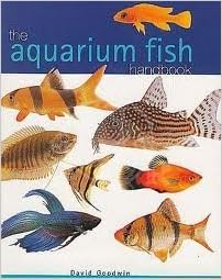 amazon aquarium fish
