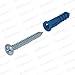Qualihome Anchor Assortment Kit | Anchors, Molly Bolts, Screws, Toggle Bolts, Wings for Drywall, Hollow Wall, Plaster, Tile | Heavy Duty Masonry Set
