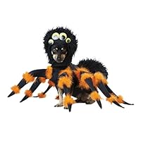 Medium_Black/Orange_Spider PUP Dog Costume