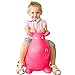 NDN LINE Bouncy Animal, Bouncy Horse Inflatable with Pump