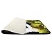 newplenty Doormat Entrance Floor Rug Indoor Mat Non-Slip Flannel for Bedroom Bathroom Living Room Kitchen Home Decorative 60x40CM (Panda)