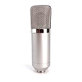 ZRAMO Large Diagram Condenser Mics Recording