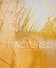 Jeremy Kost: Fractured by 