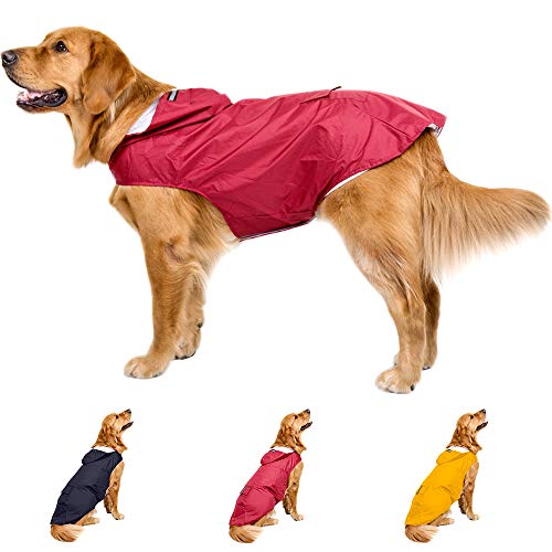 How to buy the best golden retriever raincoat in red? Sideror Reviews