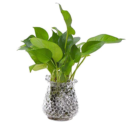 5 ONWON+Crystal+Wedding+Decoration+Education