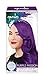 Sparks Complete Color Kit, Purple Passion