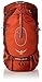 Osprey Men's Atmos 65 AG Backpacks
