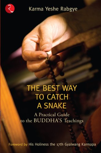 The Best Way to Catch a Snake