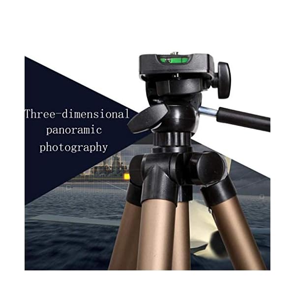 XYSQWZ Tragbares Metallstativ Outdoor-Reise Mobiltelefon Digitalkamera-stabilisator Live-Streaming Bodenstehendes… – Bild 7