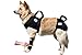 Pfaff Nature Pet Premium Carpal Splint/Carpal Joint Bandage for Dogs (Large)