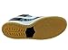 Nike Dunk Low Premium FT SB QS Skateboarding Shoes