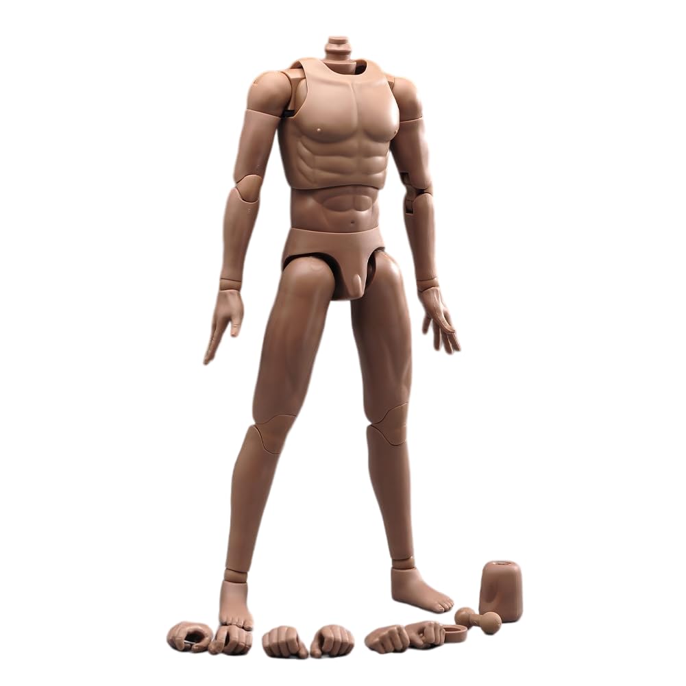 Photo 1 of Fremego 1/6 Scale Male Body,12inch Joints Flexible Muscle Male Soldier Action Figure Body Artistic Human Body Miniature Figure Doll (Suntan Skin)