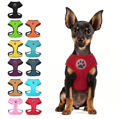 BINGPET No Pull Dog Harness