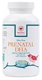 Best Nest Prenatal DHA (500 mg), 180 Count, Pure Fish Oil Supplement, Easy to Swallow, Lemon Flavored, Triglycerides Form, High in Omega 3, 180 Softgels