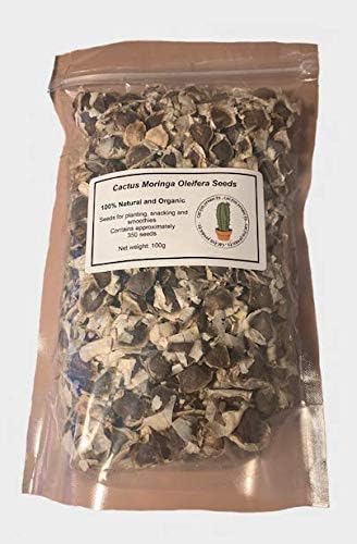 Cactus Moringa Oleifera Seeds Organic 100g Dried Seeds for Eating and Planting