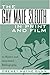 The Gay Male Sleuth in Print and Film: A History and Annotated Bibliography by Drewey Wayne Gunn