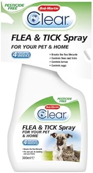 camouflage cat collar