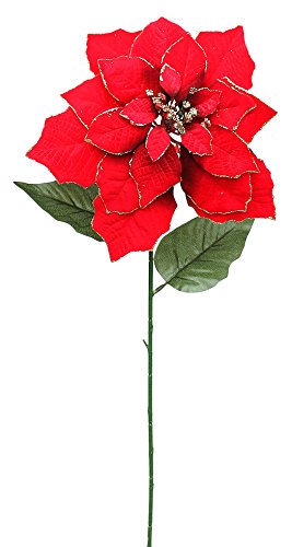 Sigro Hejo Poinsettia Tige Avec Ensemble Fleur Décoration De