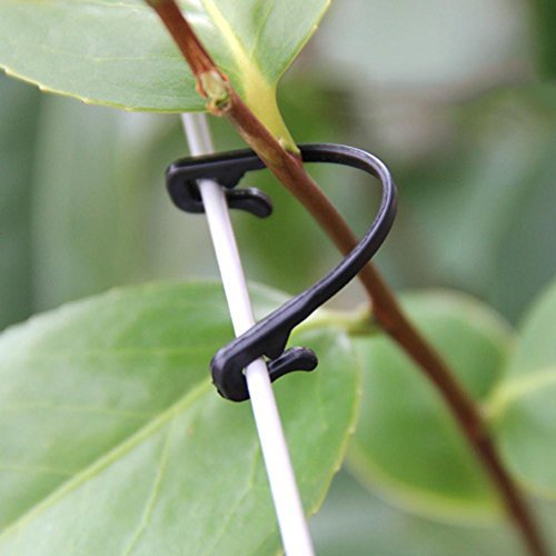 Whitelotous - Pinzas de plástico para manualidades, 50 unidades, 6 ...
