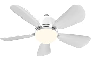 HOCINDERAL Ceiling Fan with Light and Remote, LED Socket Fan Light Bulb of 3 Adjustable Light Modes, Timer Set, Fan Speeds, Screw in Socket Fan Light for Bedroom, Kitchen, Living Room-E26/E27 Base (W3)
