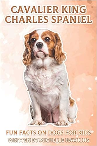 amazon cavalier king charles spaniel