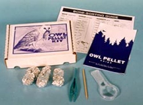 Student Owl Pellet Kit