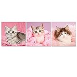Hello Lovely Kitty Modern Canvas Art Print Cute Pet Kitten Paintings Pink Cat Animal Picture on Canvas 3 Panels Giclee Artwork Daughter Birthday Gift for Kids Room Wall Decor (Framed 12x12inchx3pcs)