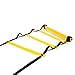 Physport Speed Ladder Soccer Training Agility Ladder with Carry Case Sport Tool (12-Rung)