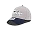 New Era NFL Seattle Seahawks 2015 Gray Training Camp 39Thirty Stretch Fit Cap, Medium/Large, Gray